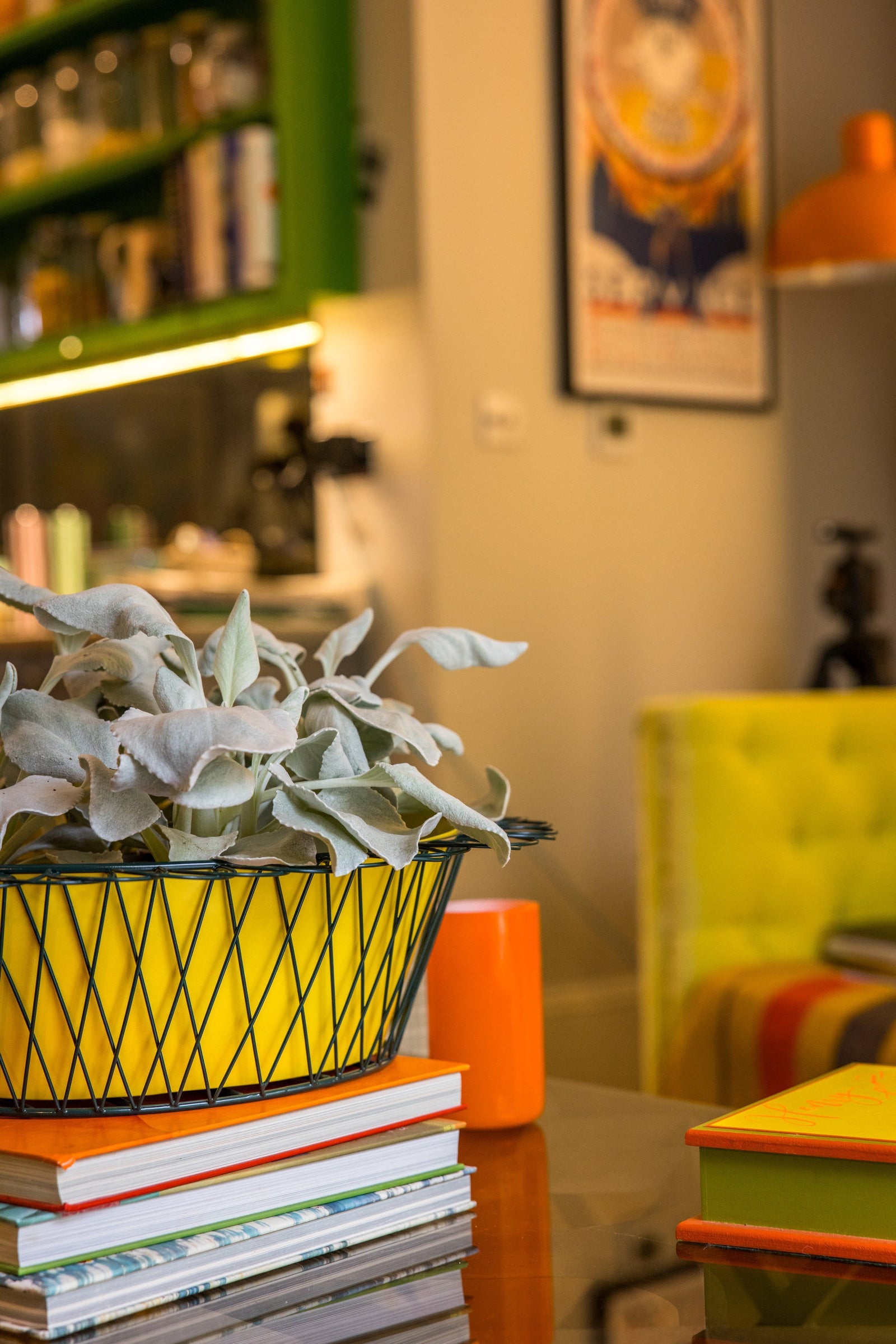 Wire Basket Planter | Sunshine Yellow & Forest Green