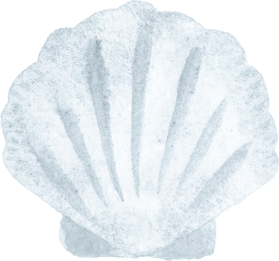 Soft Crib Sheet – Shell