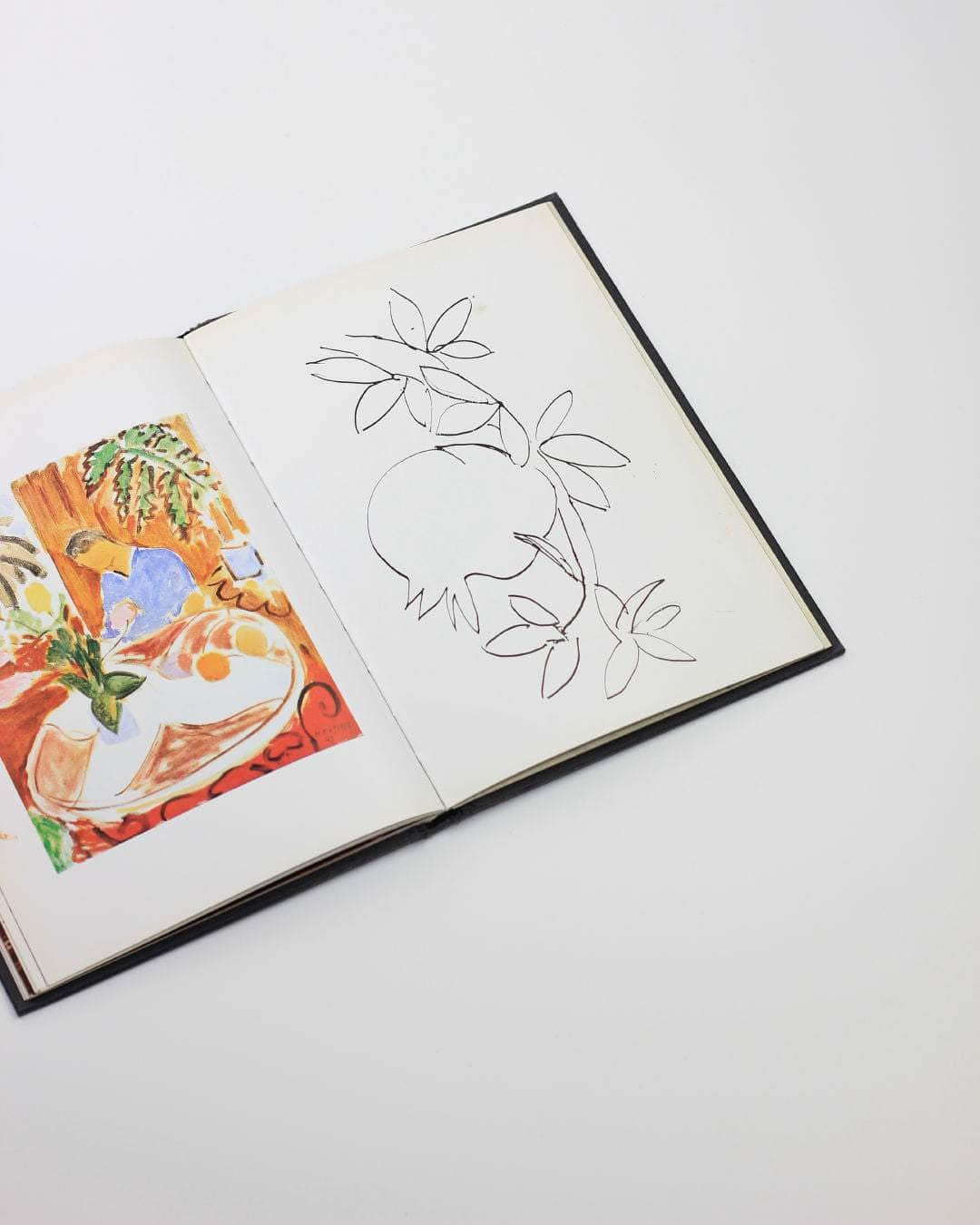 Matisse in Nice Book