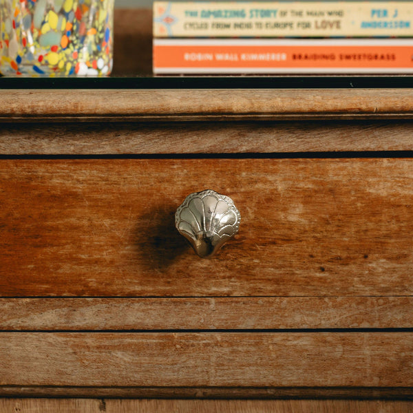 Chunky Shell Knob, Antique Brass