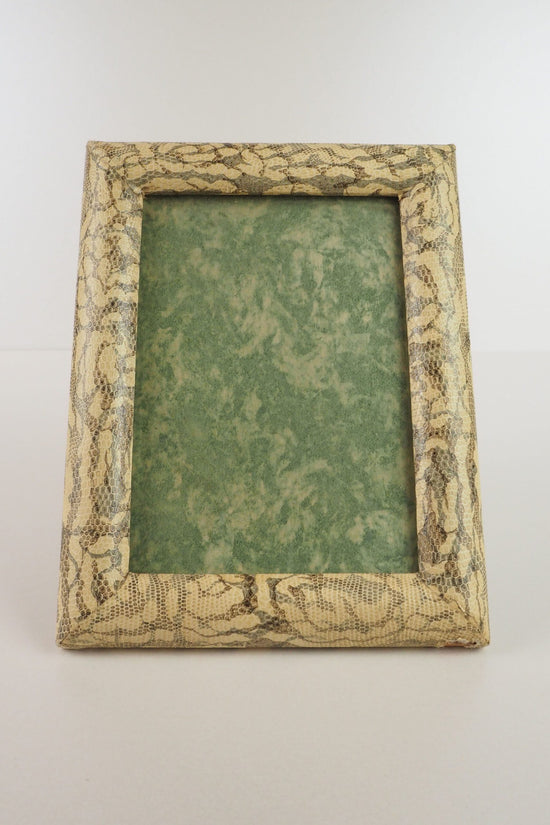 Antique Snake Print Frame
