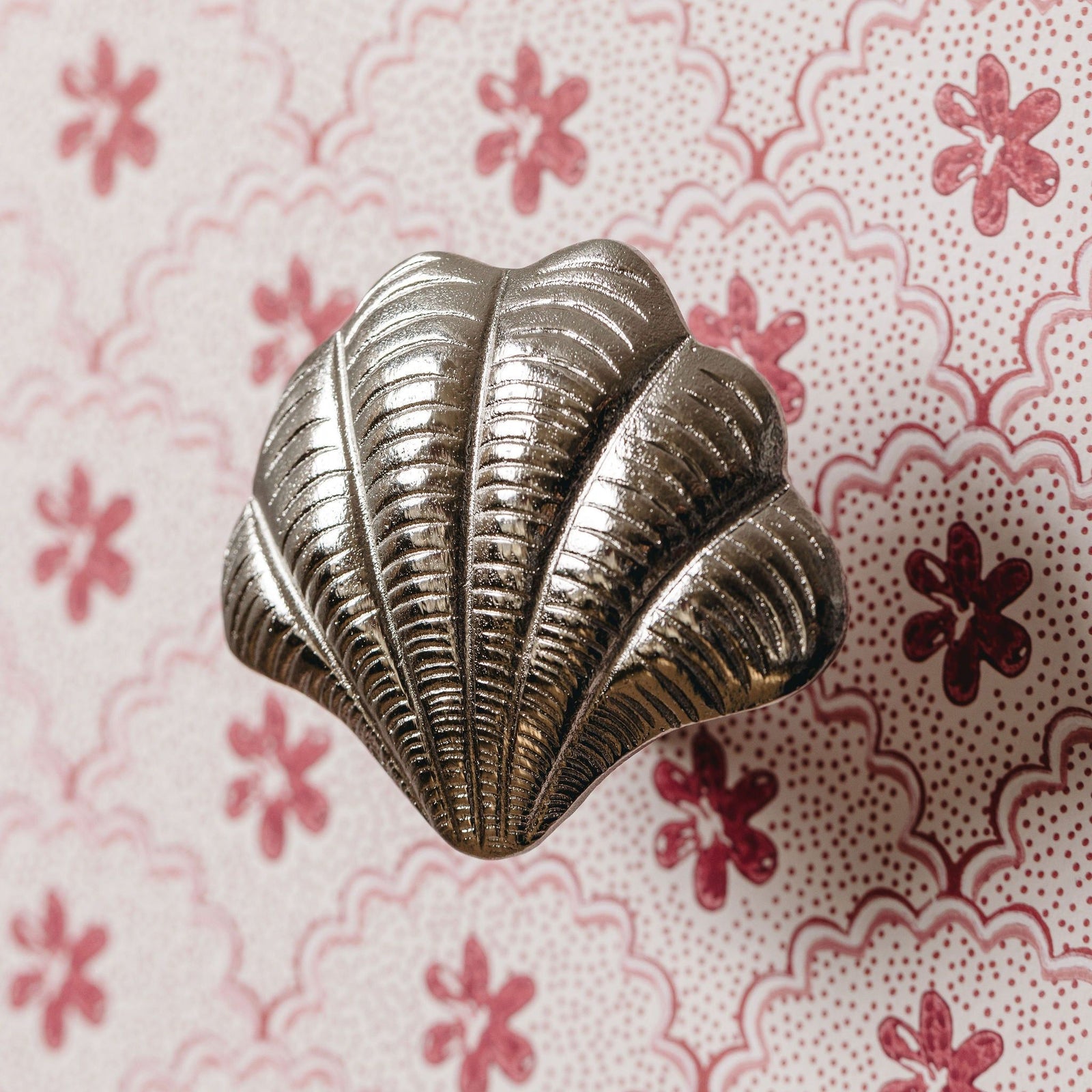 Curved Shell Knob, Anqtiue Brass