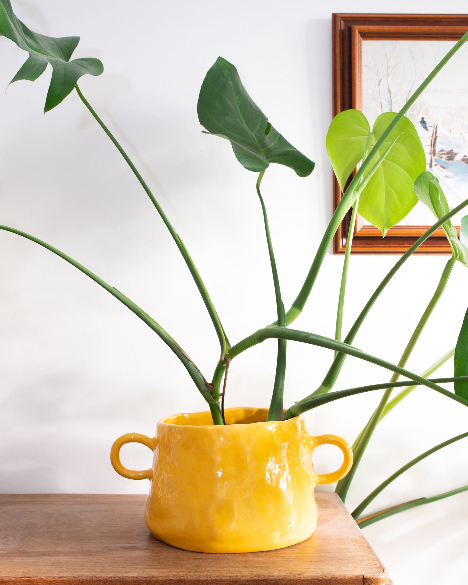 Chunky Planter
