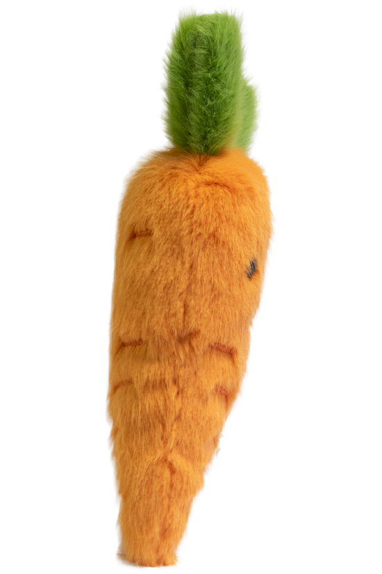 Garden Friends Carrot
