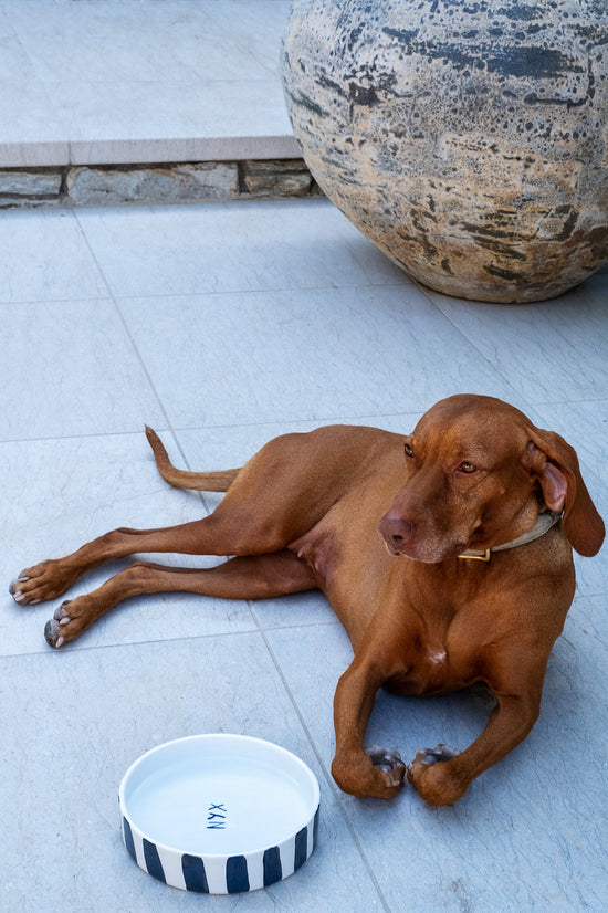 Black and White Striped Pet Bowl