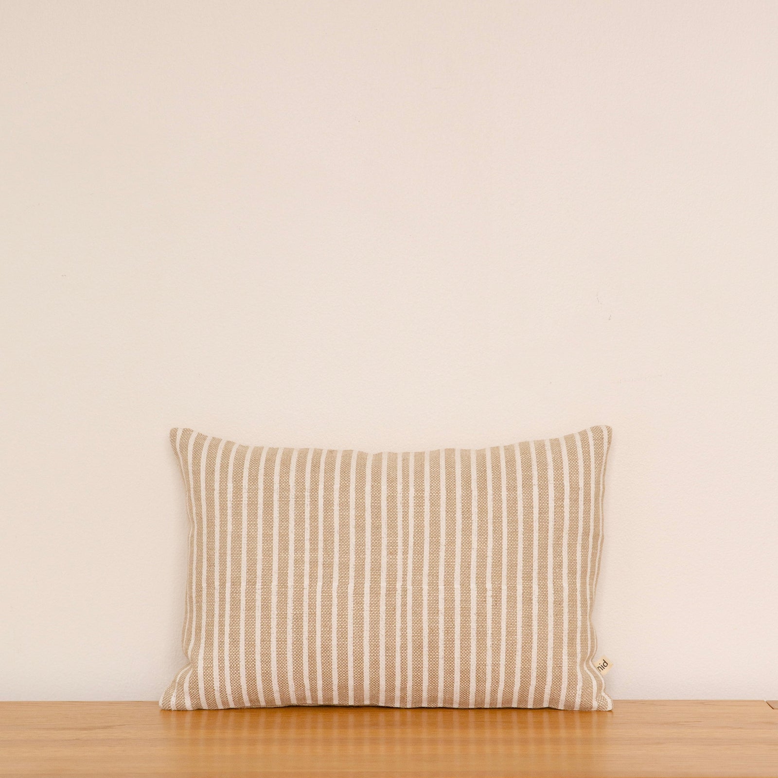 RAYURES Cushion
