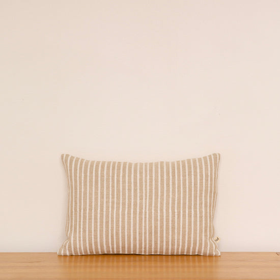 RAYURES Cushion