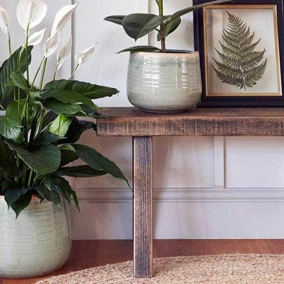 Hand Finished Plant Pot
