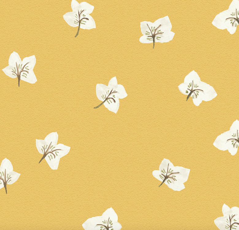 All Year Hellebores Wallpaper – SOANE