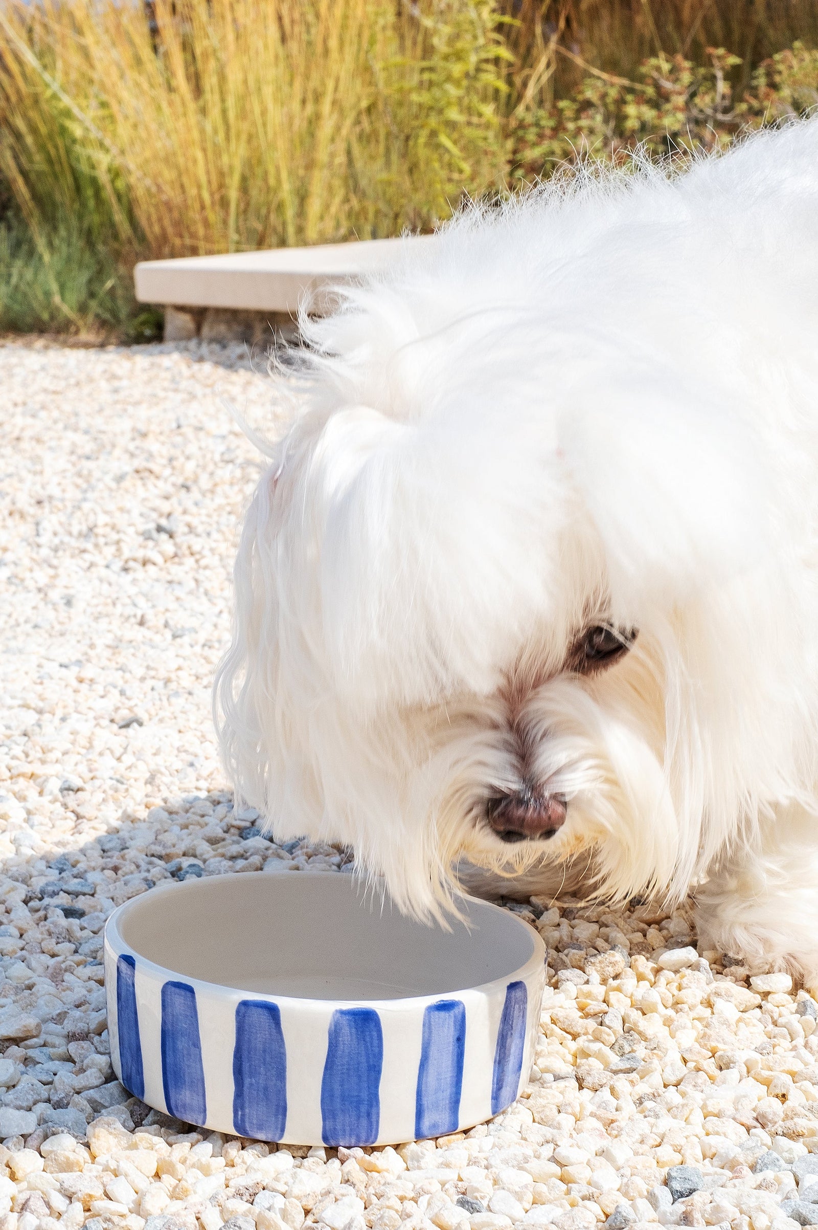 Blue Stripes Dog Bowl