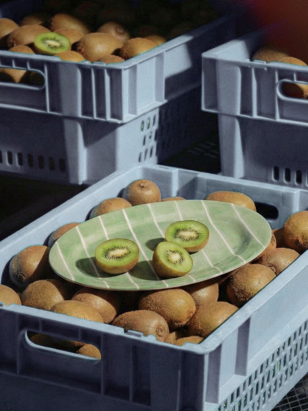 Kiwi Platter
