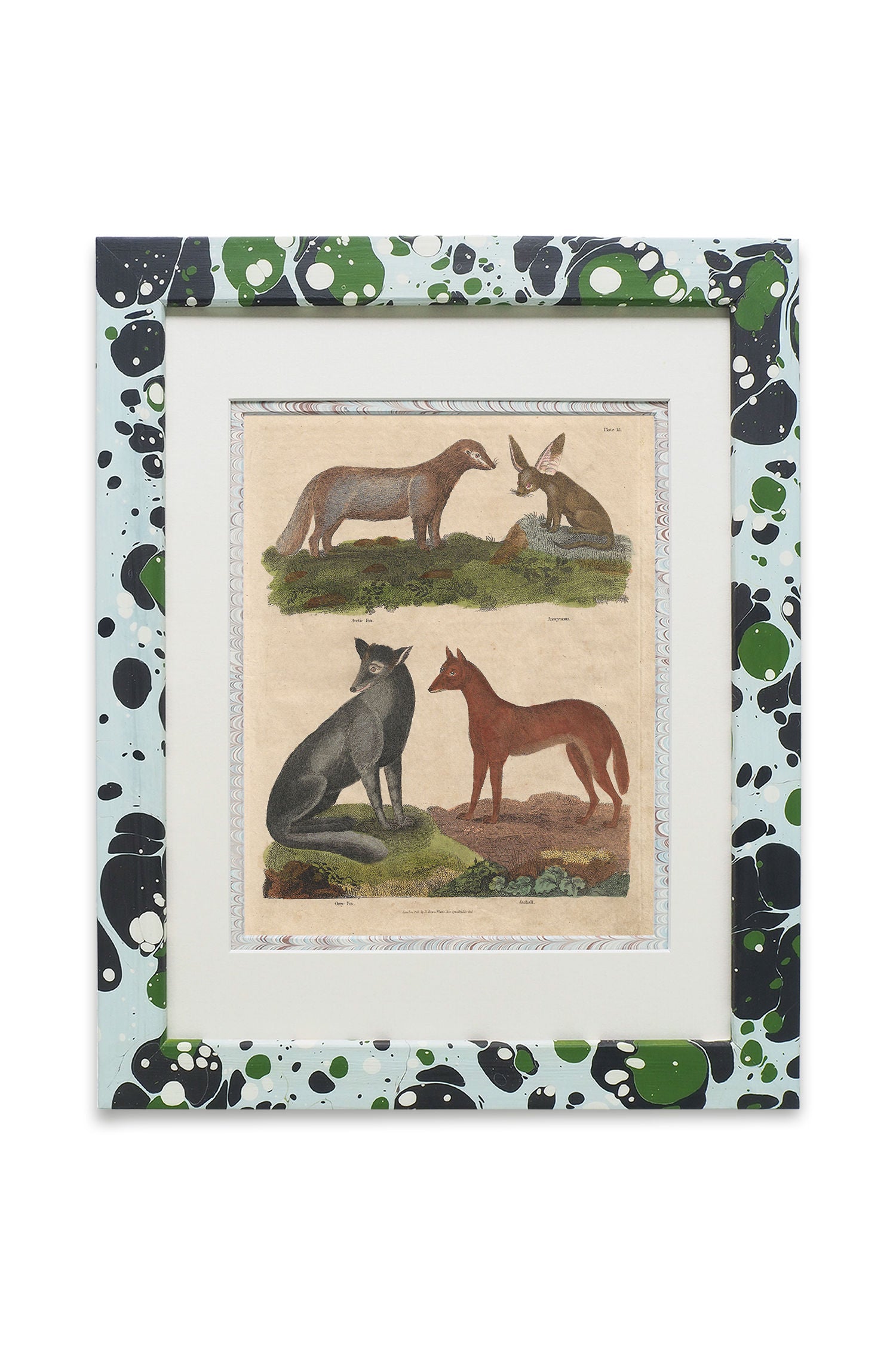 Buffon No.15 Glacier Framed Print