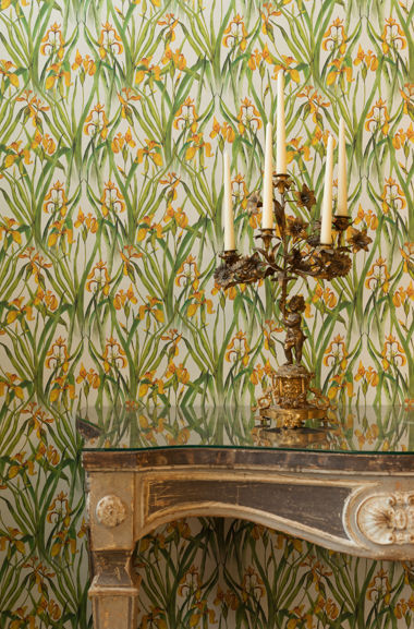 Wild Iris Small Wallpaper