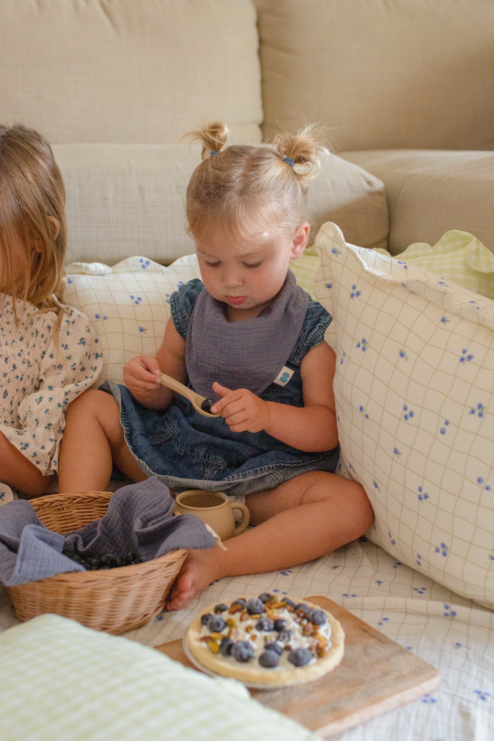 Soft Petal Cushion Covers (Set of 2) – Blueberries