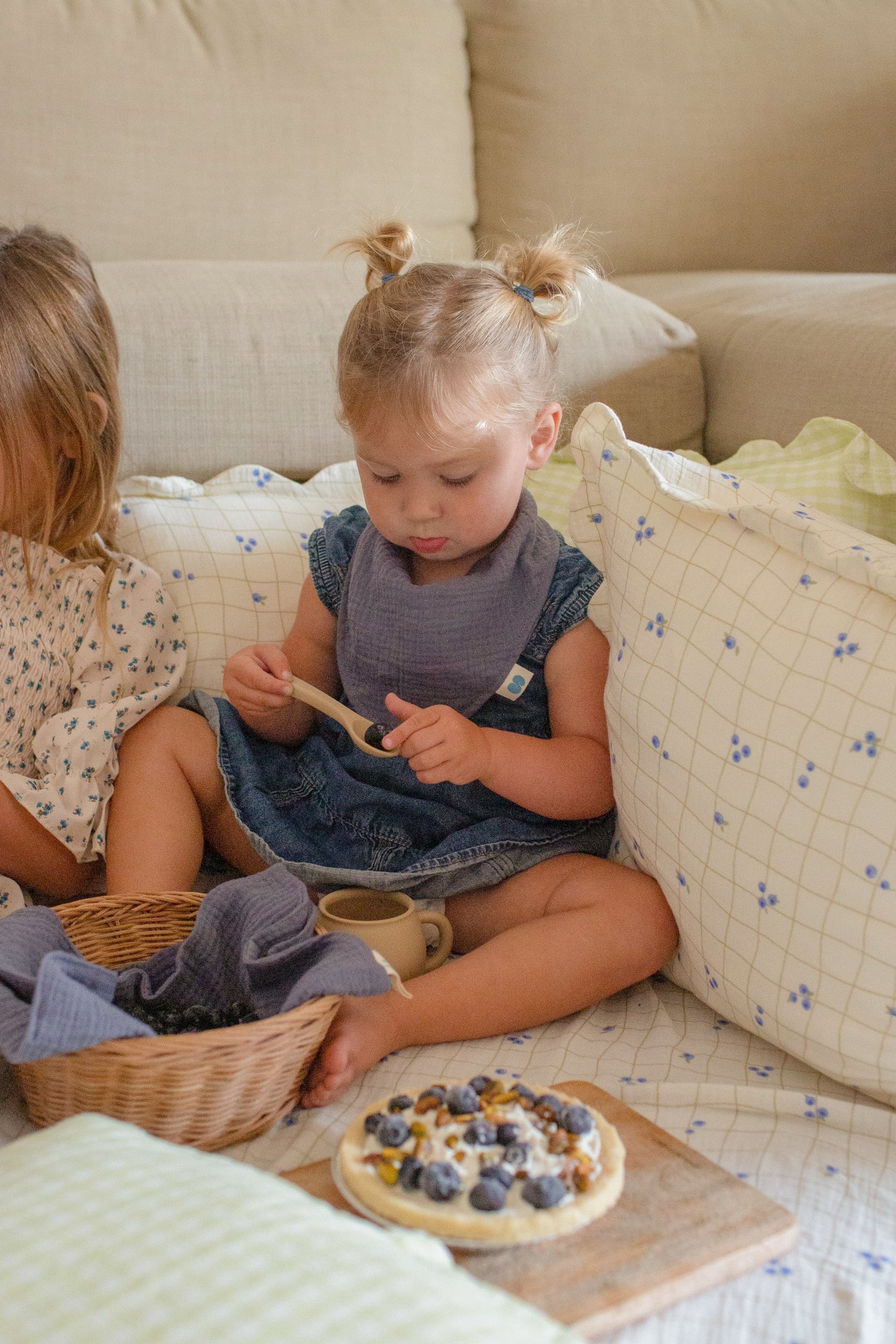 Soft Petal Cushion Covers (Set of 2) – Blueberries