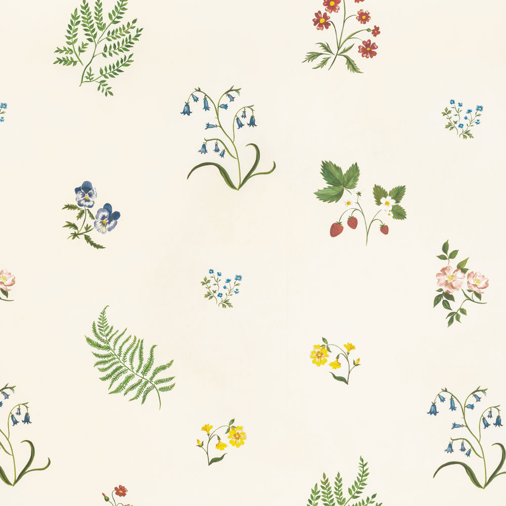 Herbarium Wildflower Wallpaper - Ivory