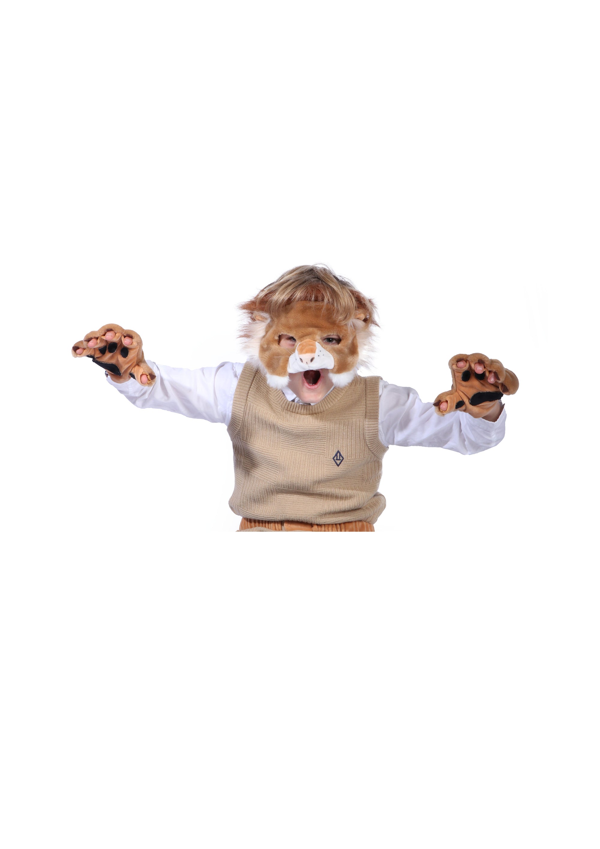 Dress-up Set Lion