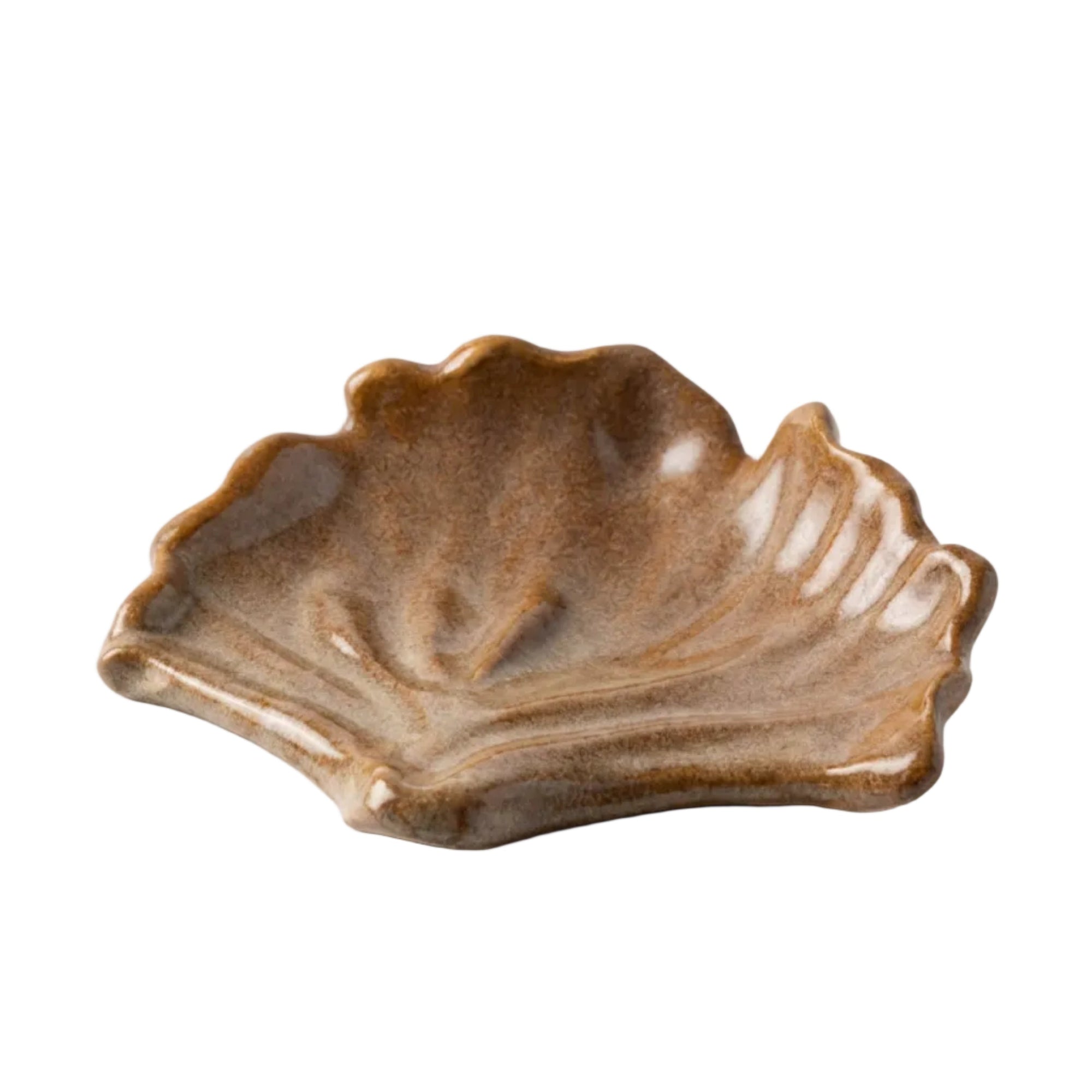 Ceramics Shell 01