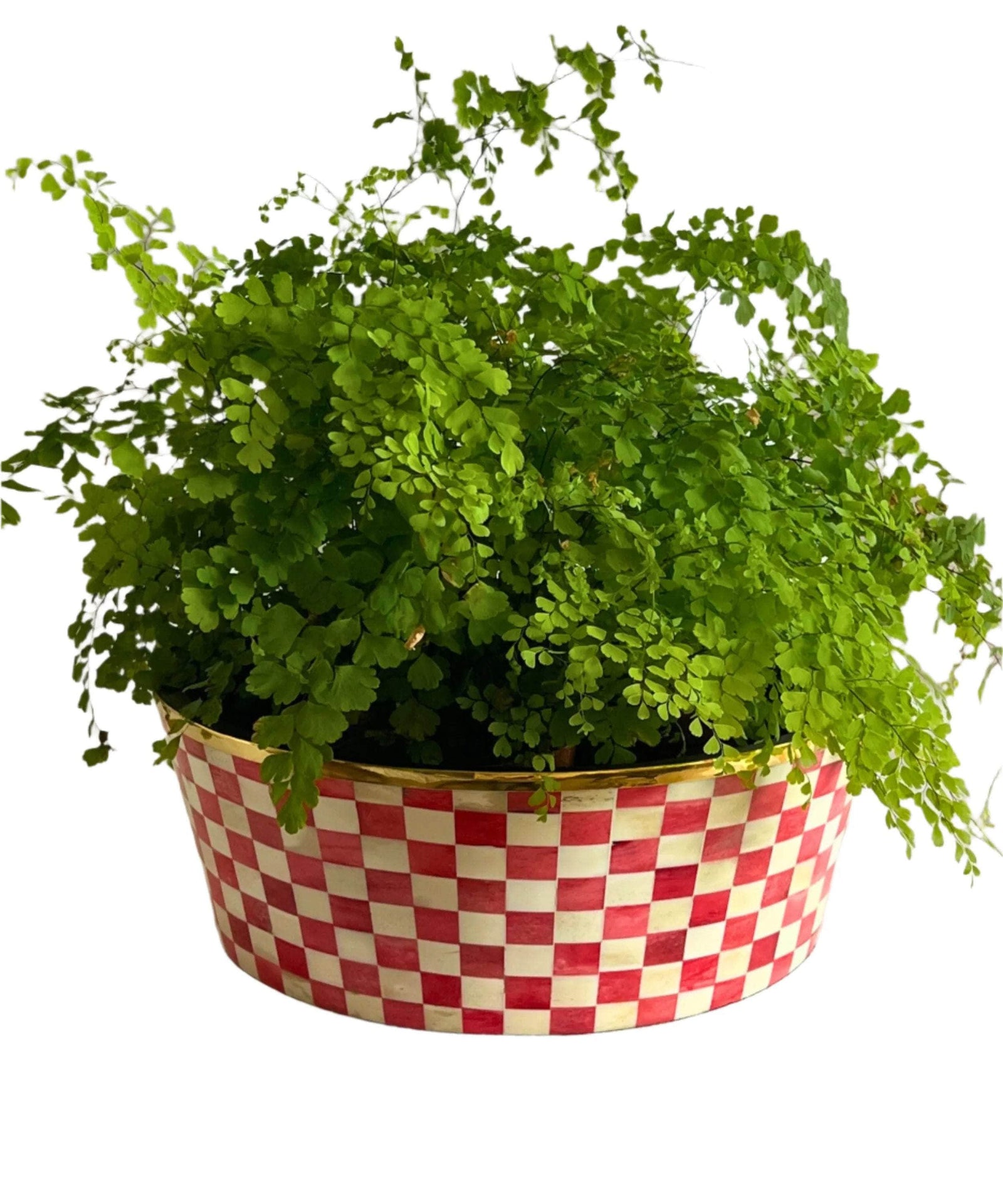 Round Inlay Planter | Large | Ruby Red | Chequered