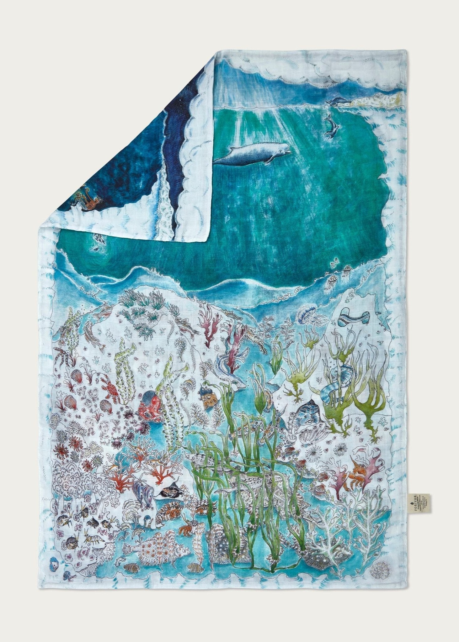 Legends of the Sea X Stripey Seaweed - Kids Gift Set