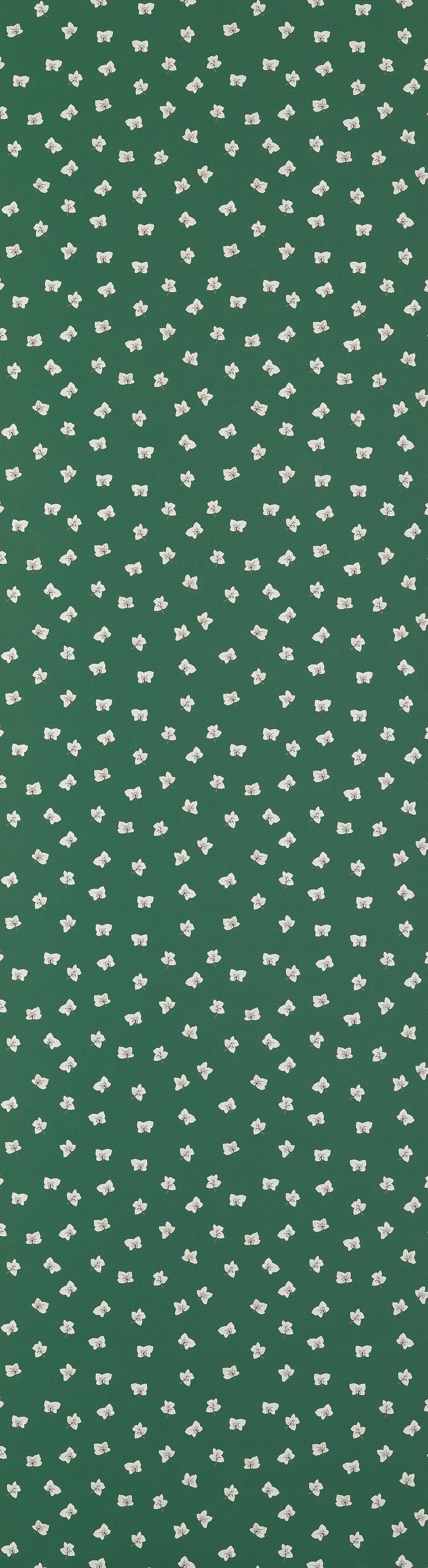 All Year Hellebores Wallpaper – HUNTER