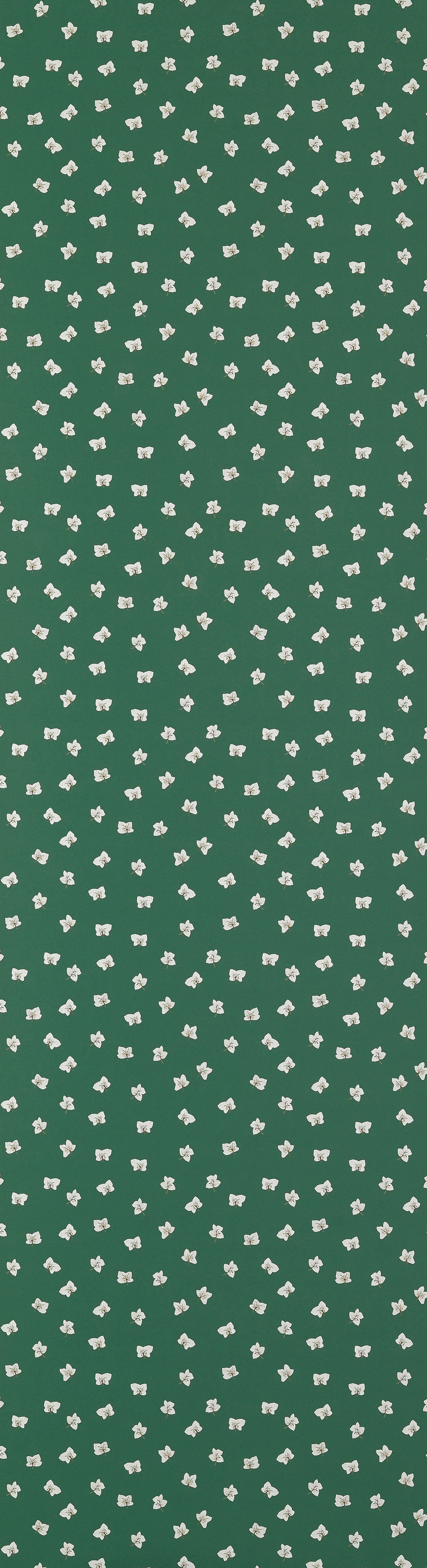 All Year Hellebores Wallpaper – HUNTER