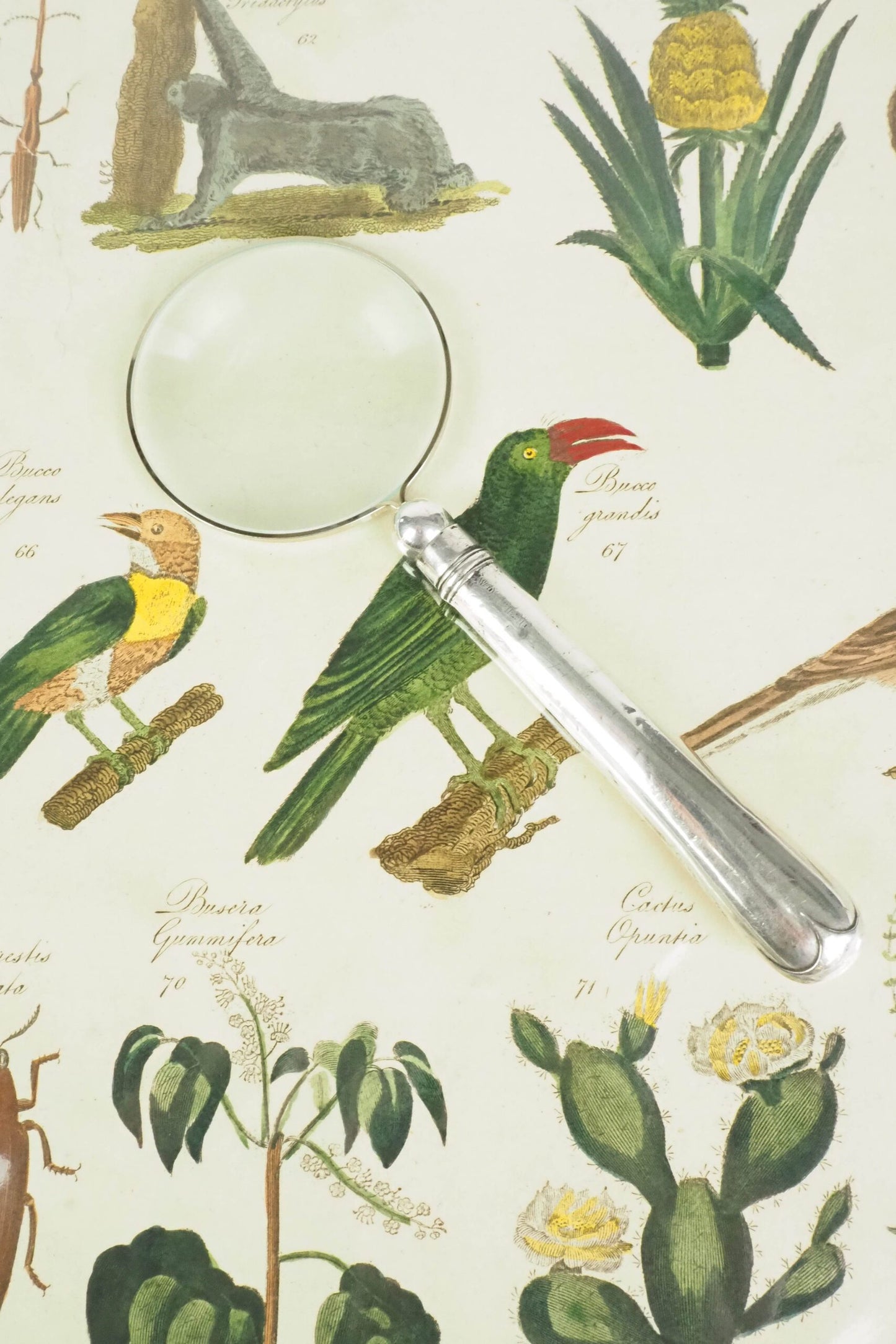 Victorian Sterling Silver Magnifying Glass
