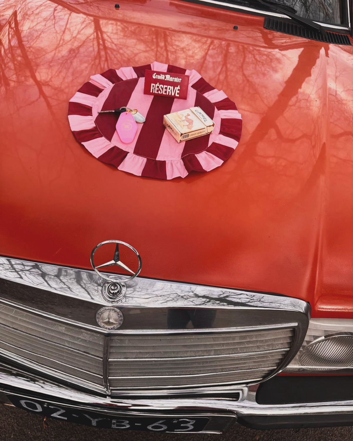 Set of 2 Darcy Placemats Red/Pink