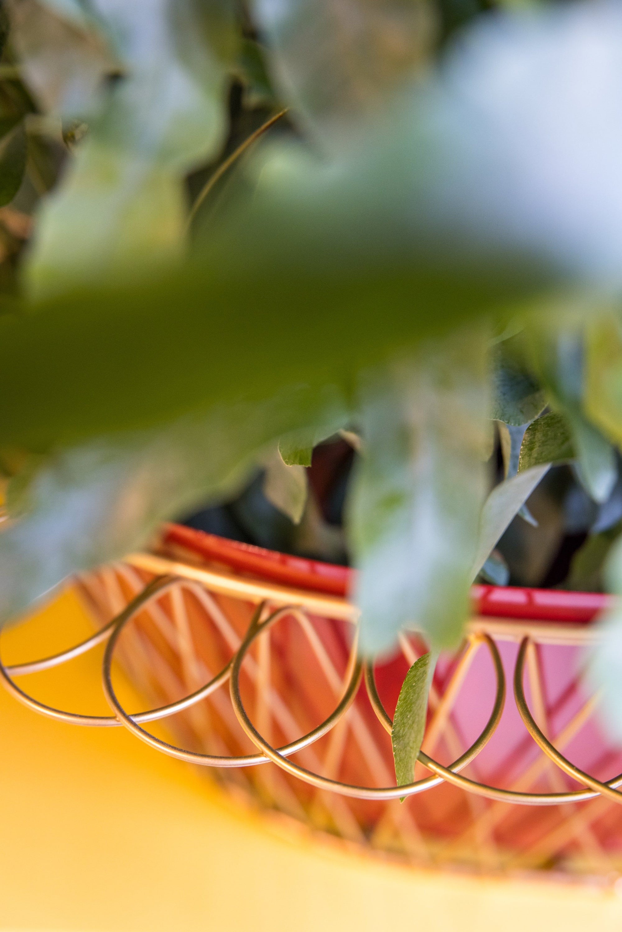 Wire Basket Planter | Cherry Red & Gold