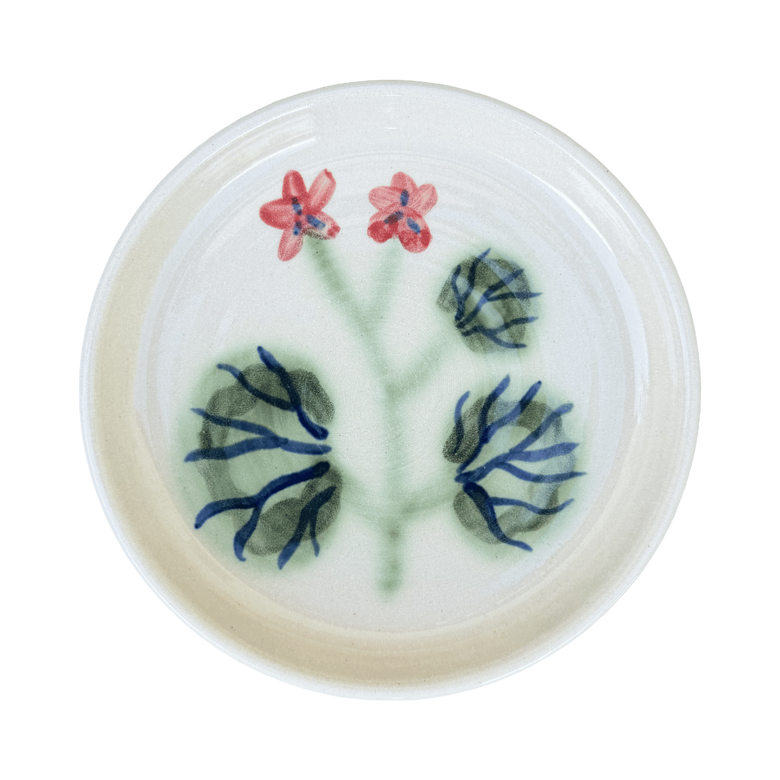 Pelargonium Dish