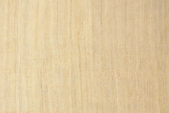 Kelim Rug