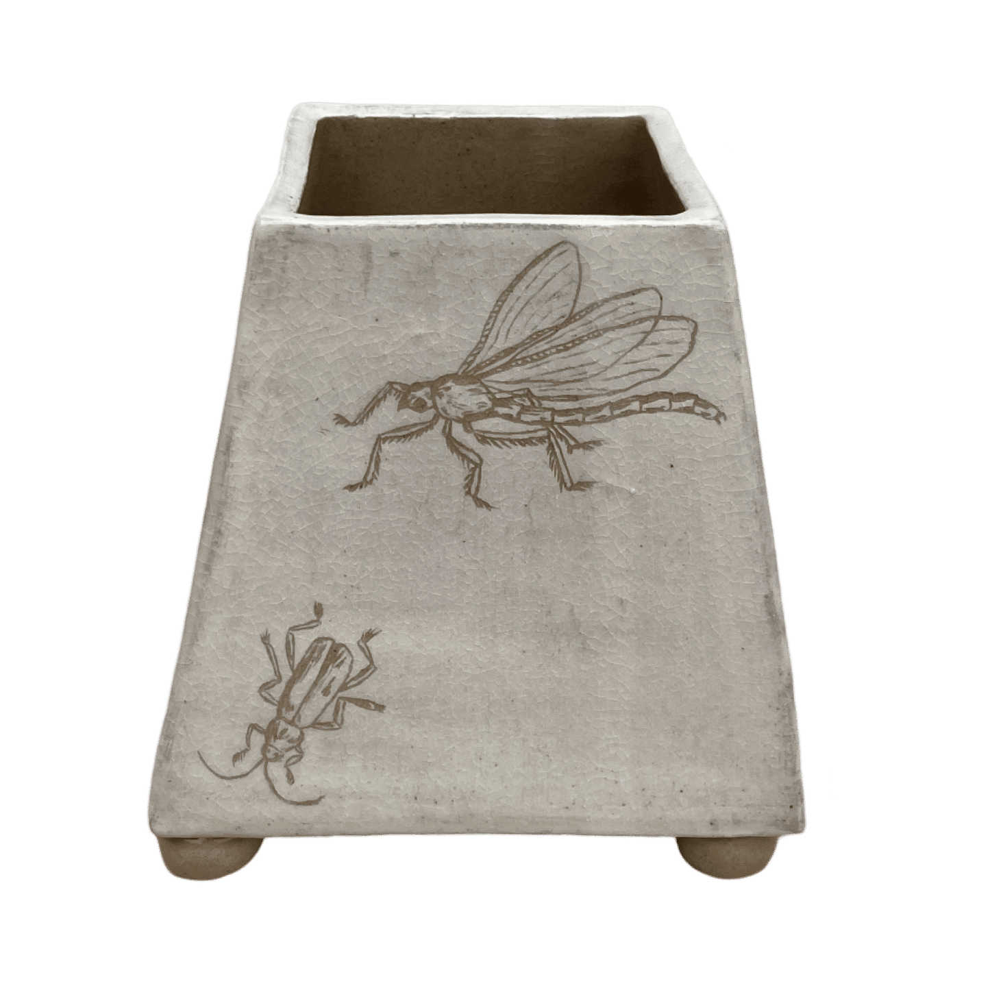 Bugs Vase