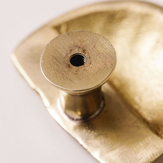 Cove Shell Knob, Lacquered Brass
