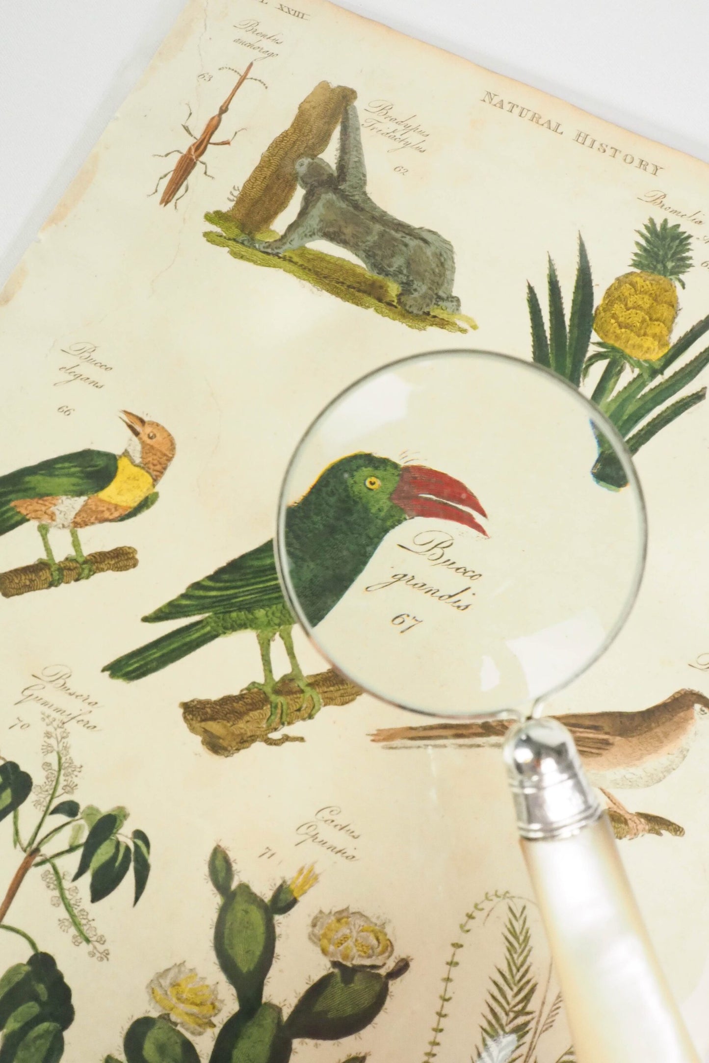 Silver and Mother of Pearl Magnifying Glass