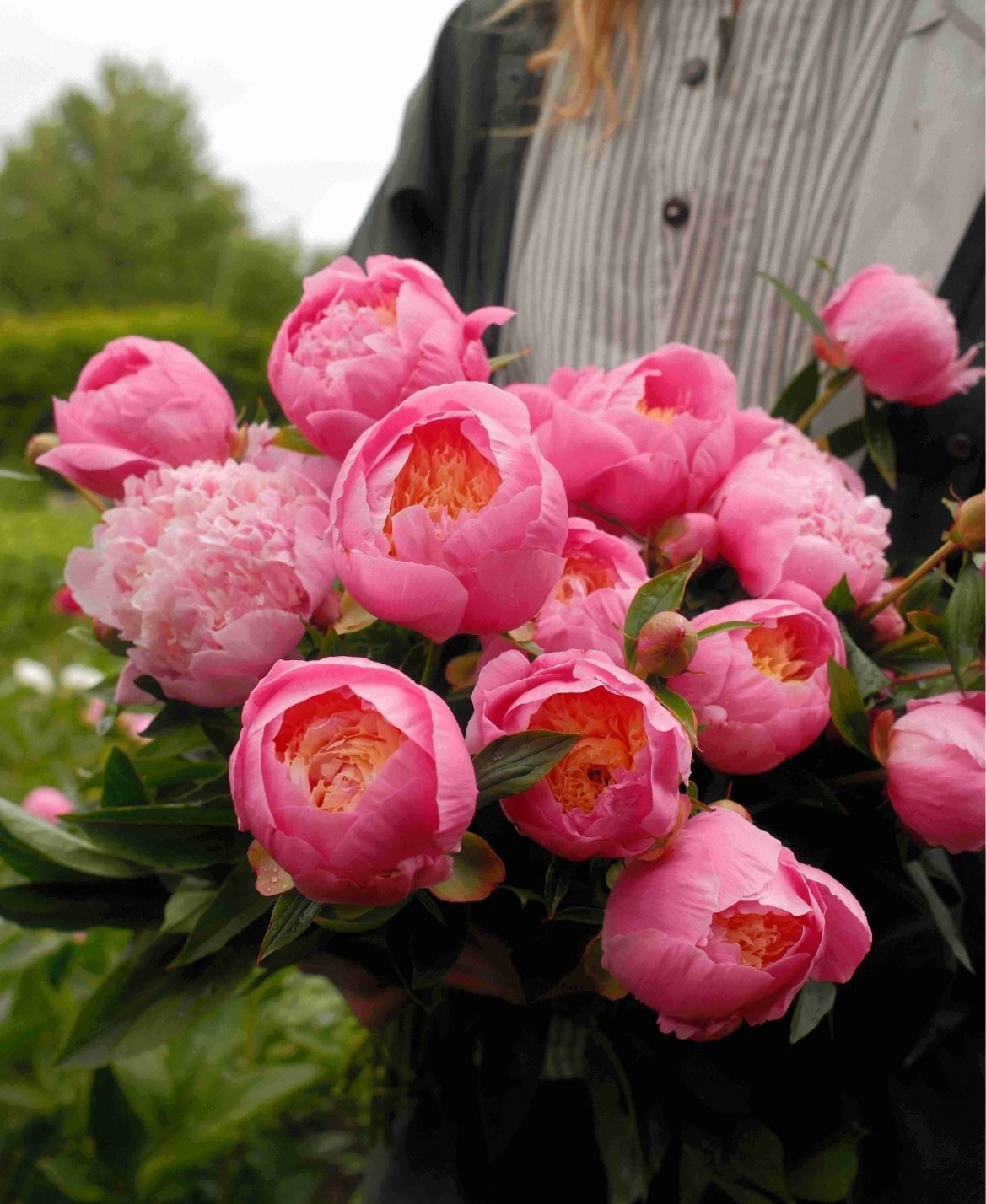 Cutting Garden Diffuser Refill 200ml