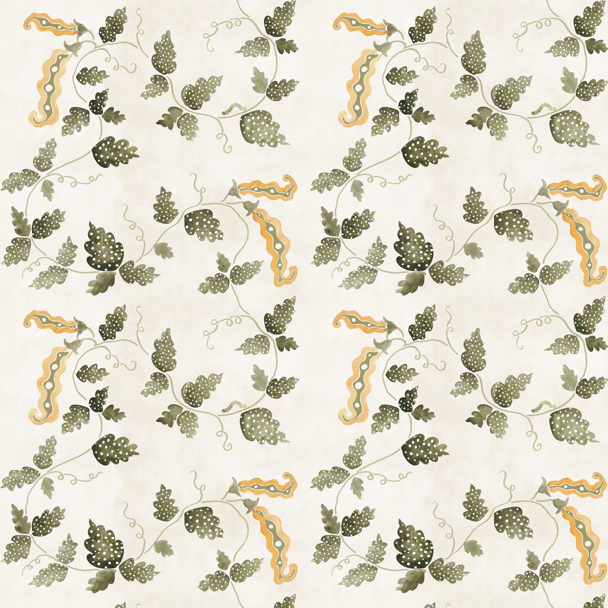 Sweetest Pea - Olive