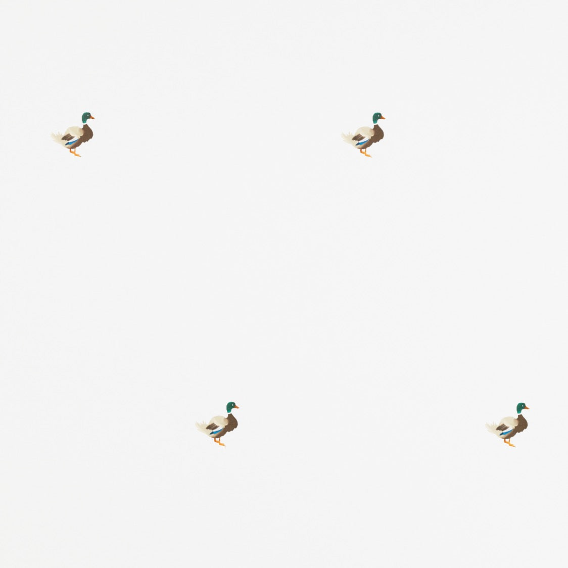 Ducks In A Row Wallpaper – CLASSIC