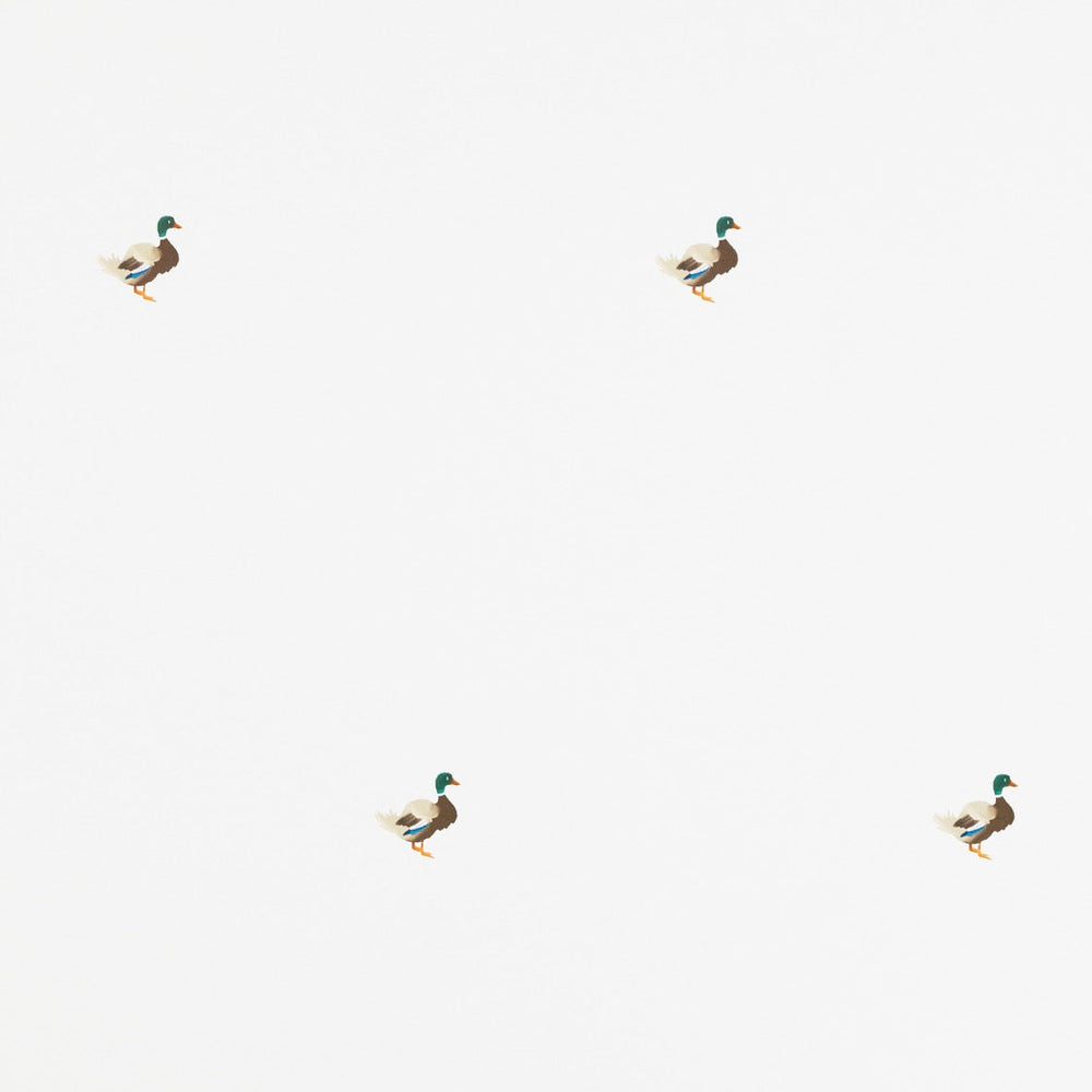 Ducks In A Row Wallpaper – CLASSIC