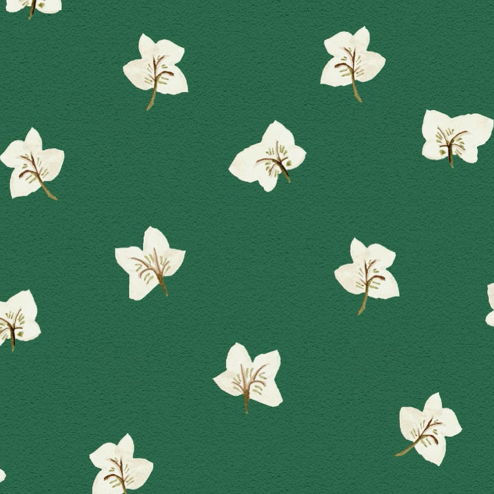 All Year Hellebores Wallpaper – HUNTER