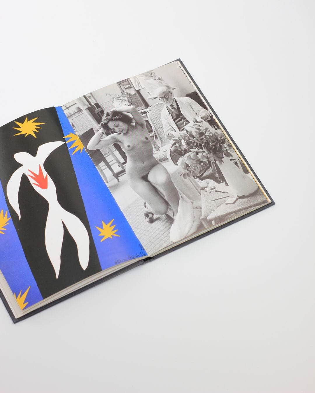 Matisse in Nice Book