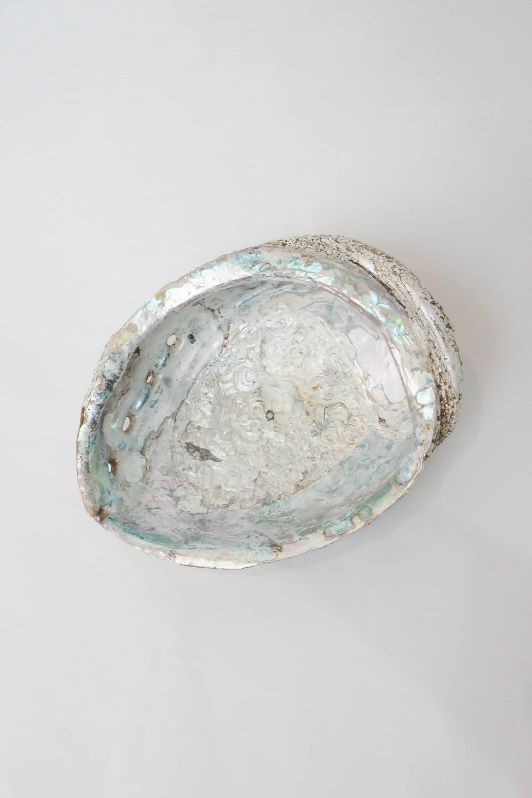 Extra Large Vintage Shell