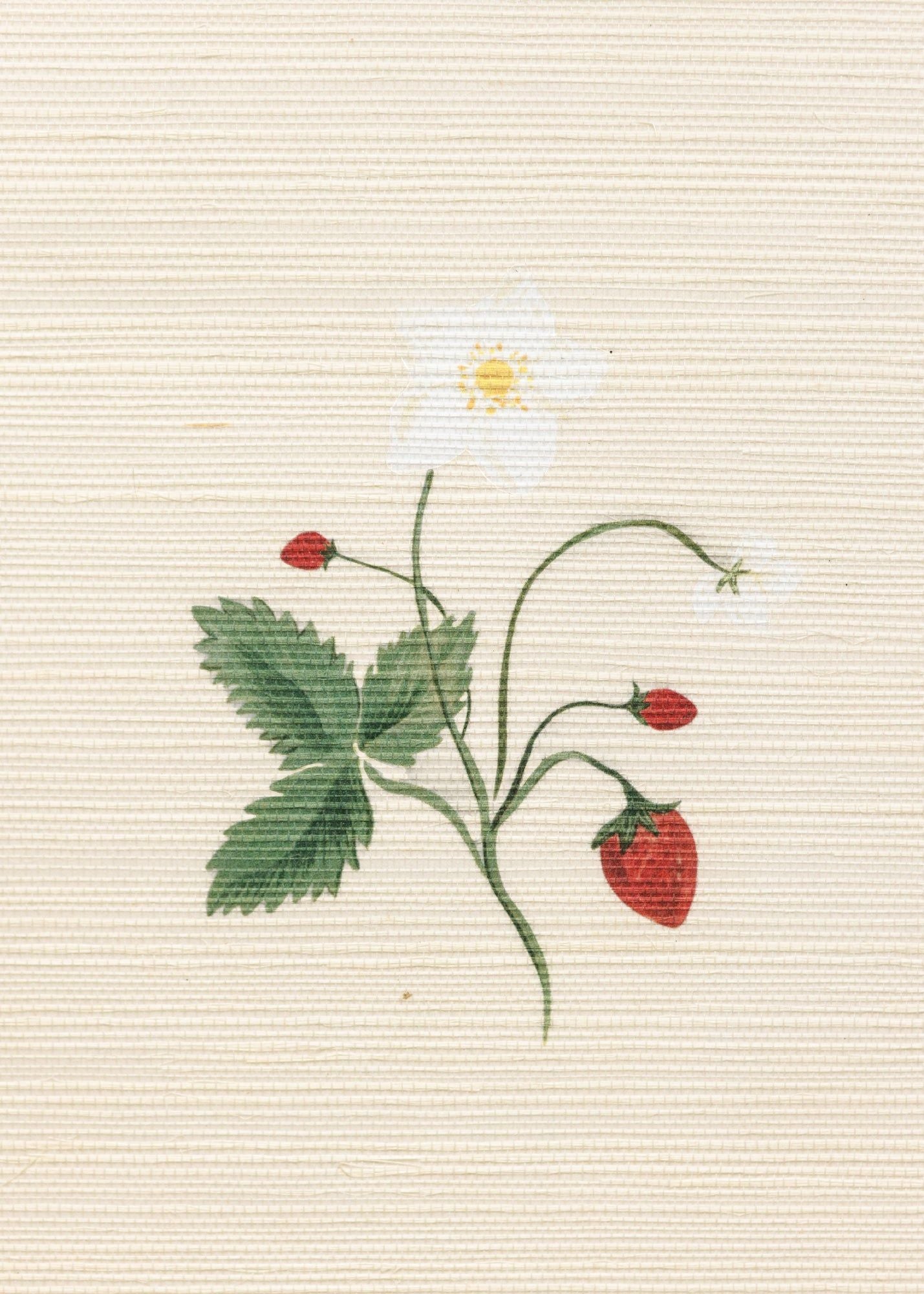 Herbarium Wildflower Grasscloth Wallpaper - Ivory