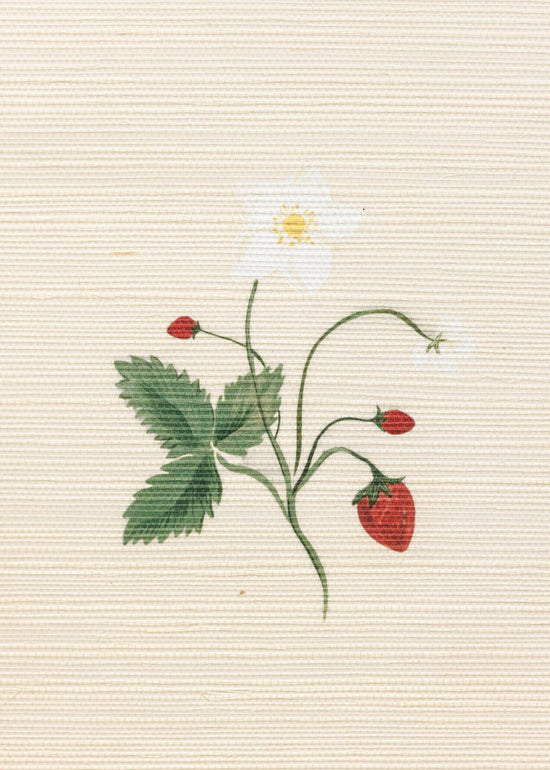 Herbarium Wildflower Grasscloth Wallpaper - Ivory