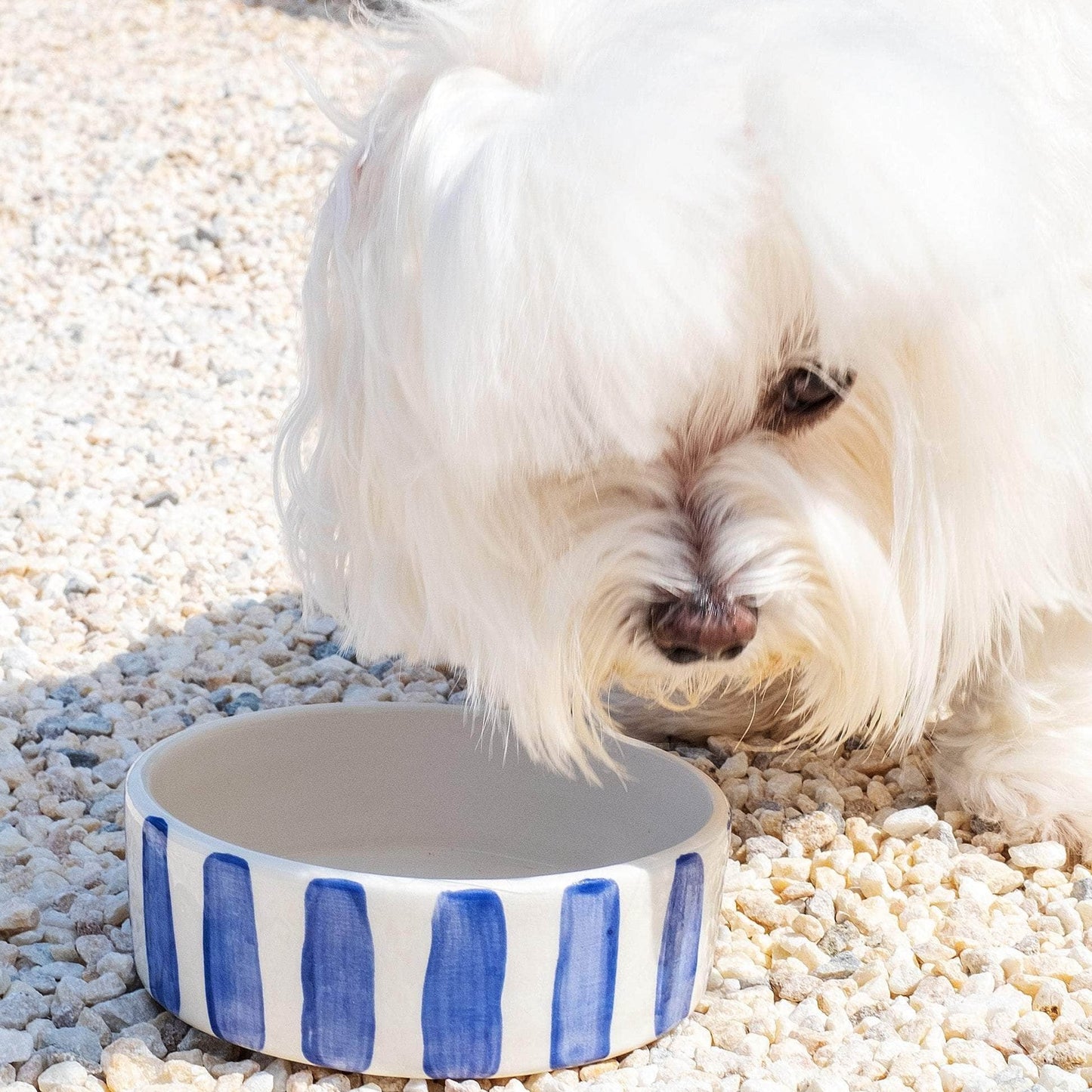 Blue Stripes Dog Bowl