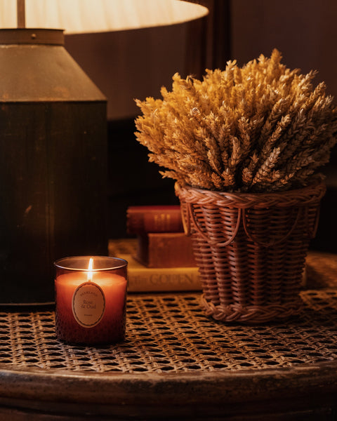 Pinet Plant Pot
