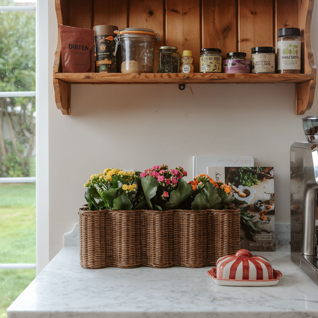 Poppy Planter & Basket, Long