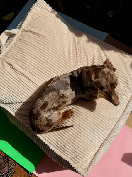 Canela Bed - Beige