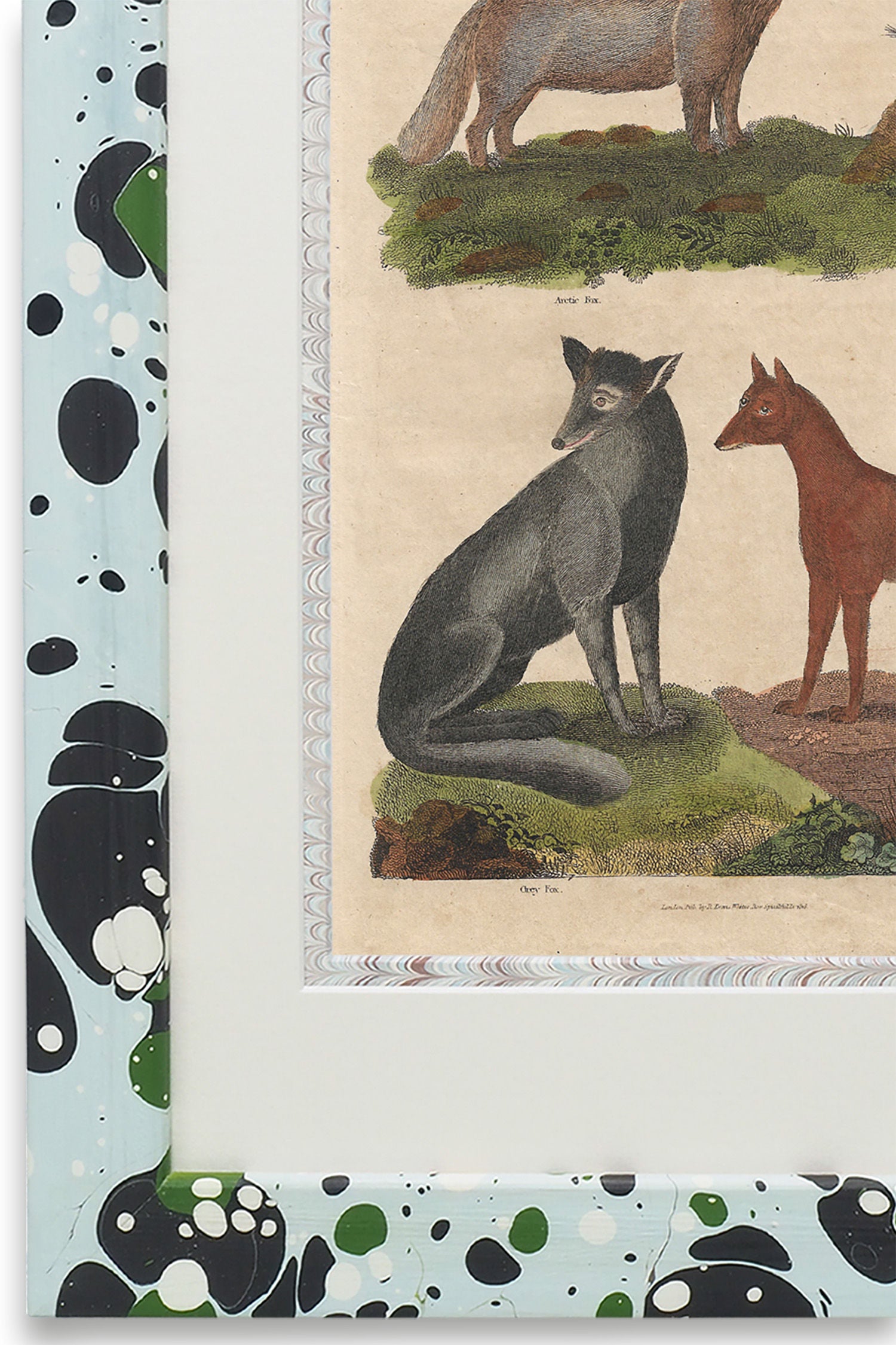 Buffon No.15 Glacier Framed Print