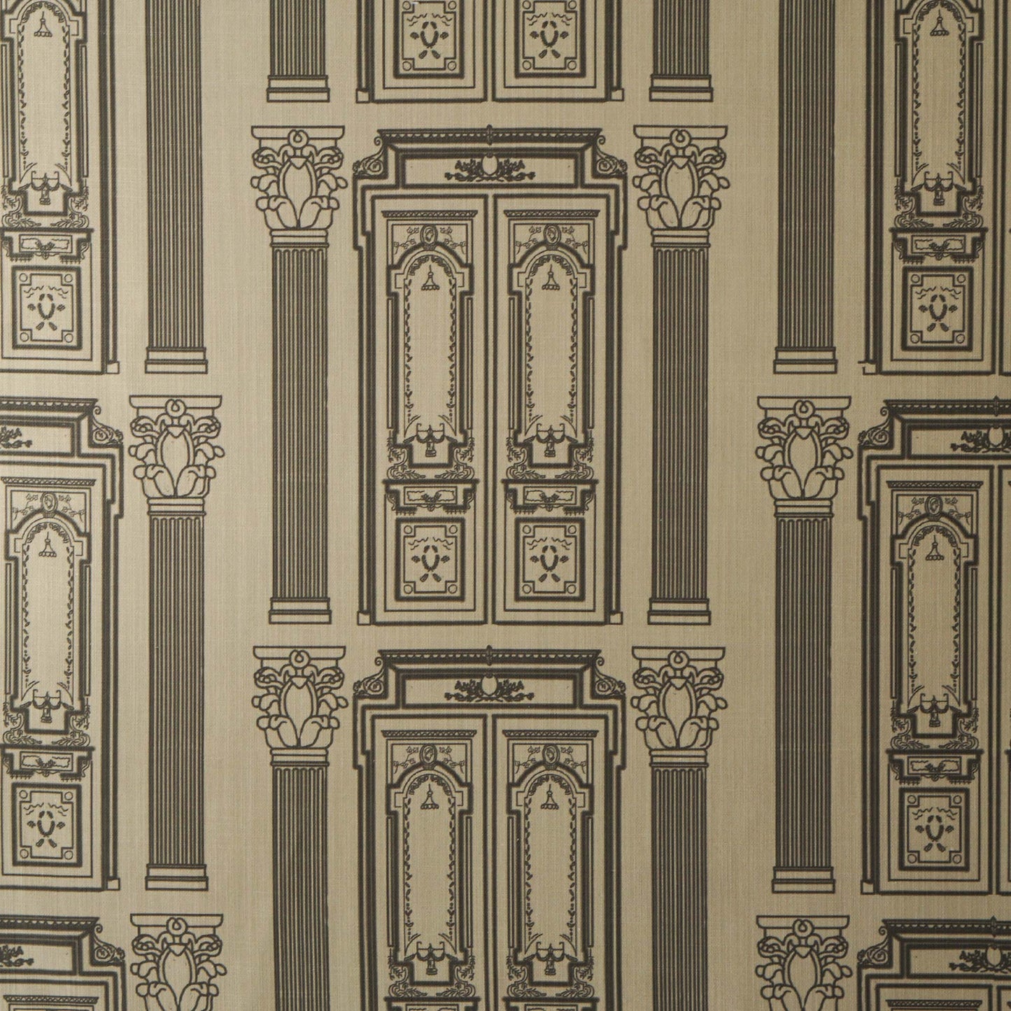 Portes de Paris Pillow