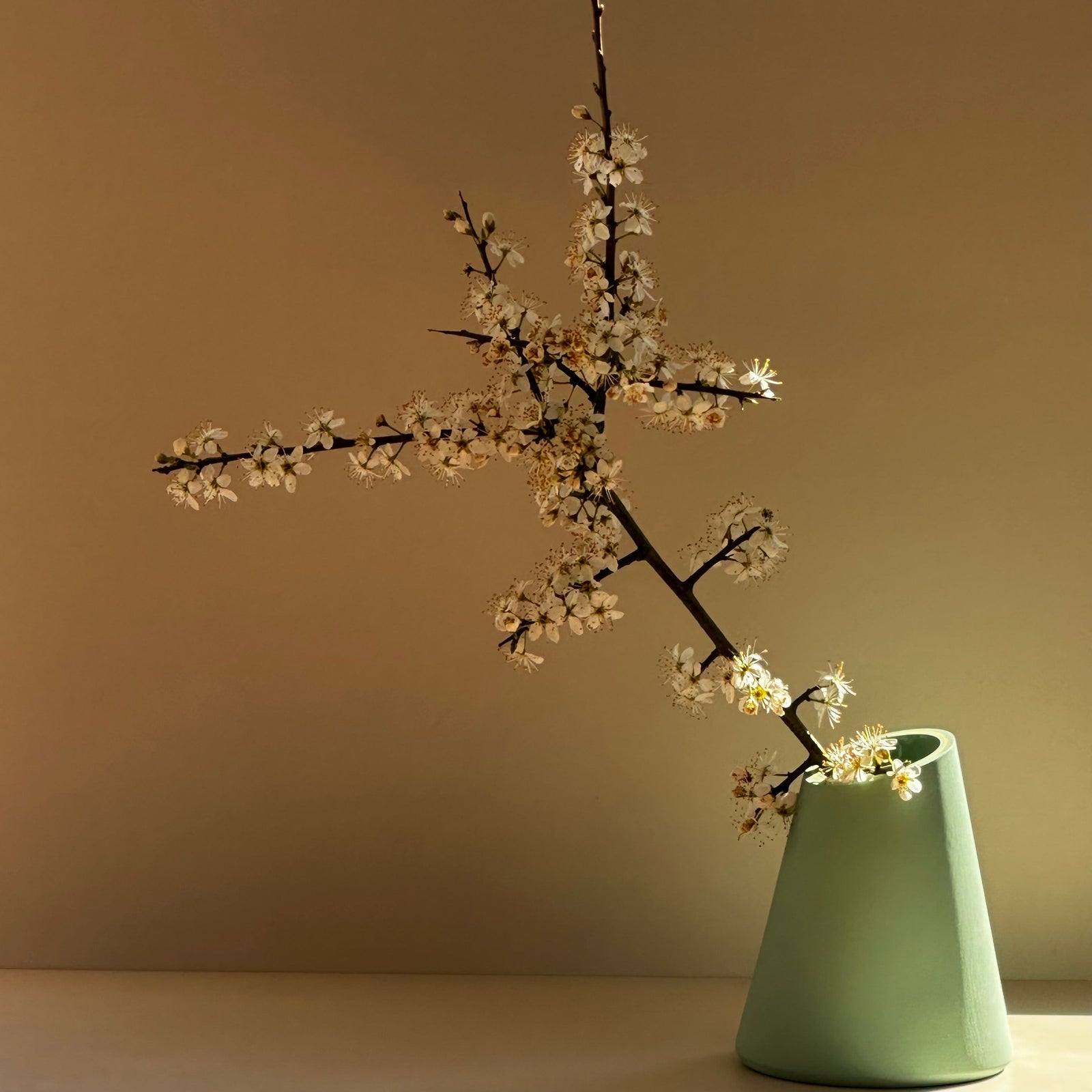 Angle Vase Miami Green